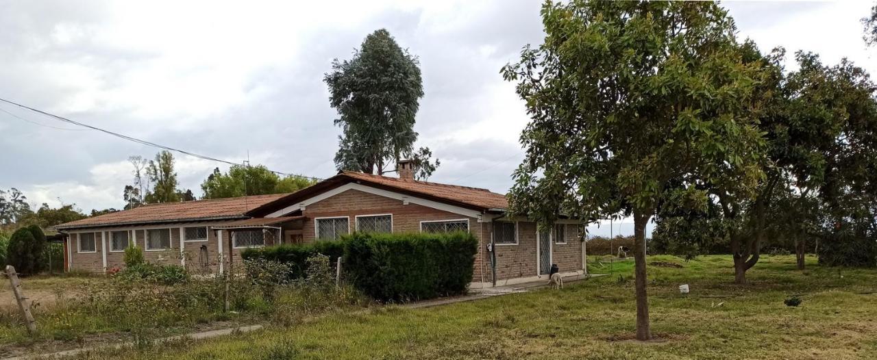 Quito Eco Lodge Airport - B&B 塔巴贝拉 外观 照片
